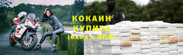 дживик Дмитровск