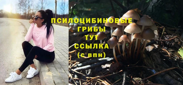 ALPHA PVP Дмитров