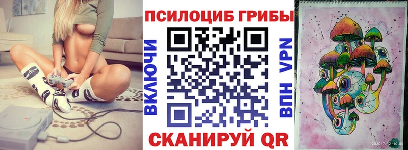 Купить закладки  Козловка  Галлюциногенные грибы ЛСД 